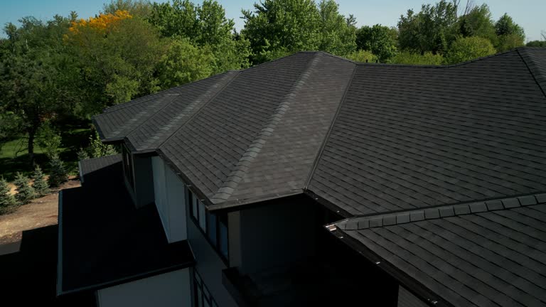 Best Sheet Metal Roofing  in Holly Hills, CO